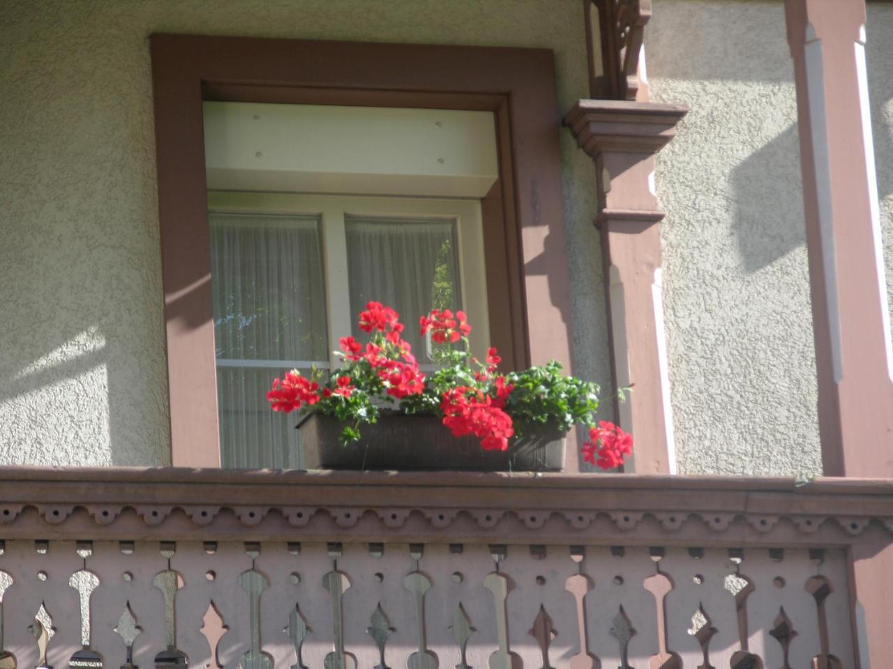 Hotel Sonne Interlaken-Matten Unterseen Екстер'єр фото